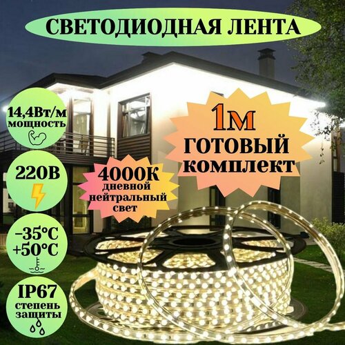 Светодиодная лента для уличного освещения 1м дневной белый свет 220в гибкий неон для подсветки фасада дома кухни ресторана неоновая гирлянда в силиконе влагозащищенная морозостойкая led 4000к 14,Светодиодная лента для уличного освещения 5м дневной белый свет 220в гибкий неон для подсветки фасада дома кухни ресторана неоновая гирлянда в силиконе влагозащищенная морозостойкая led 4000к 14,Елочное украшение Зимнее волшебство "Ключик с блеском", 5х15 см, прозрачное