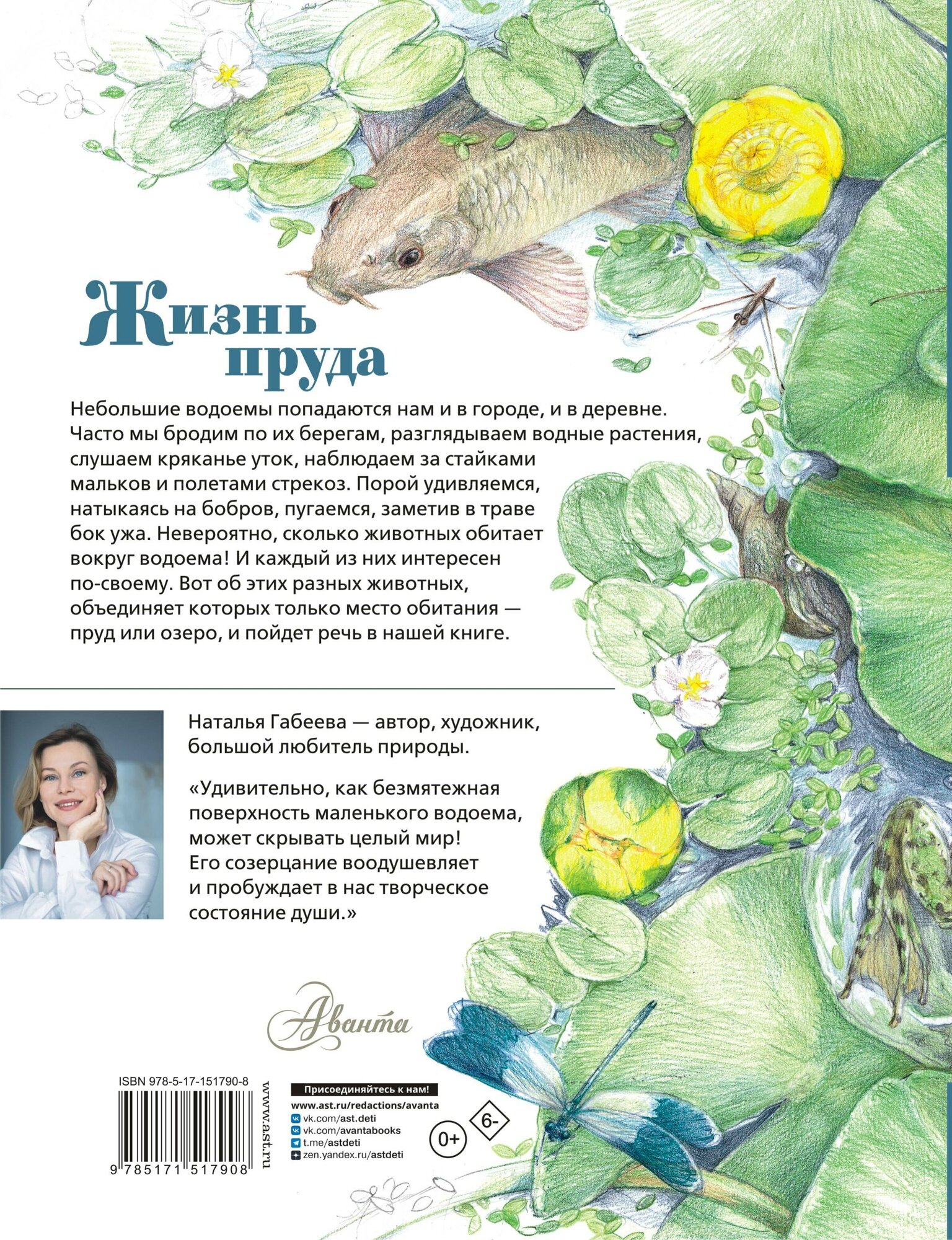 Жизнь пруда