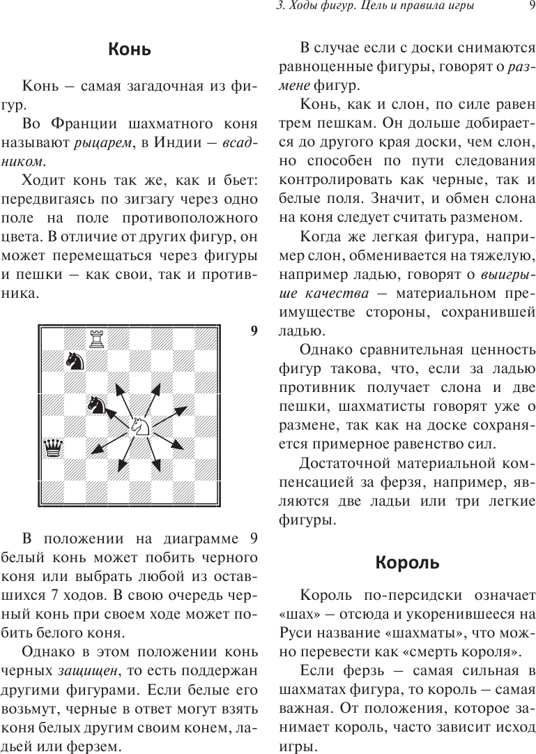 Шахматы для начинающих: правила, навыки, тактики - фото №17