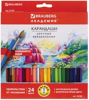 Карандаши цветные акварельные BRAUBERG "академия", 24 цвета, шестигранные, высокое качество, 181400