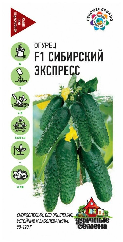 Семена Удачные семена Огурец Сибирский экспресс F1 10 семян