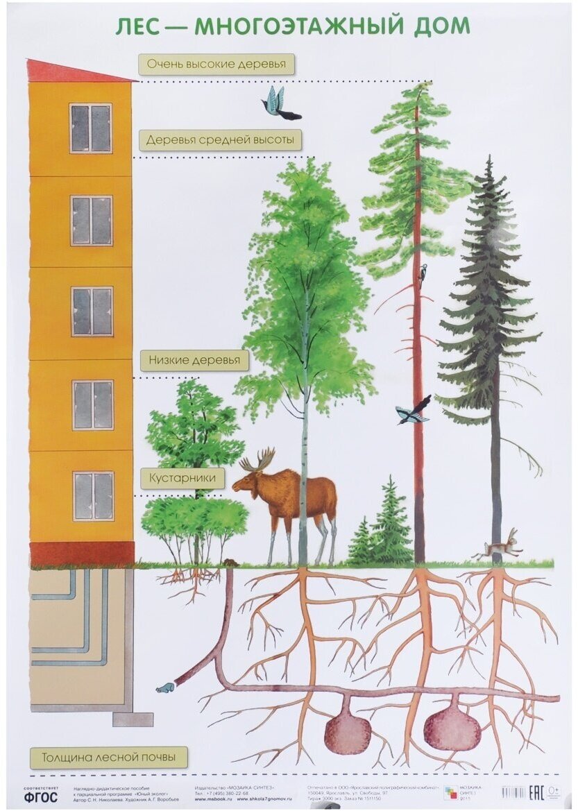 Плакат Мозаика-Синтез Наглядные пособия. Лес-многоэтажный дом, А2 ФГОС, 2022, cтраница 1