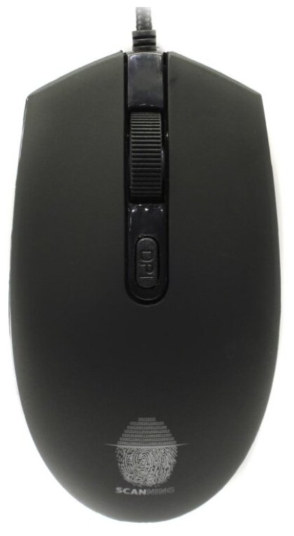 Qumo Mouse rtl USB 4btn+Roll <24124> .