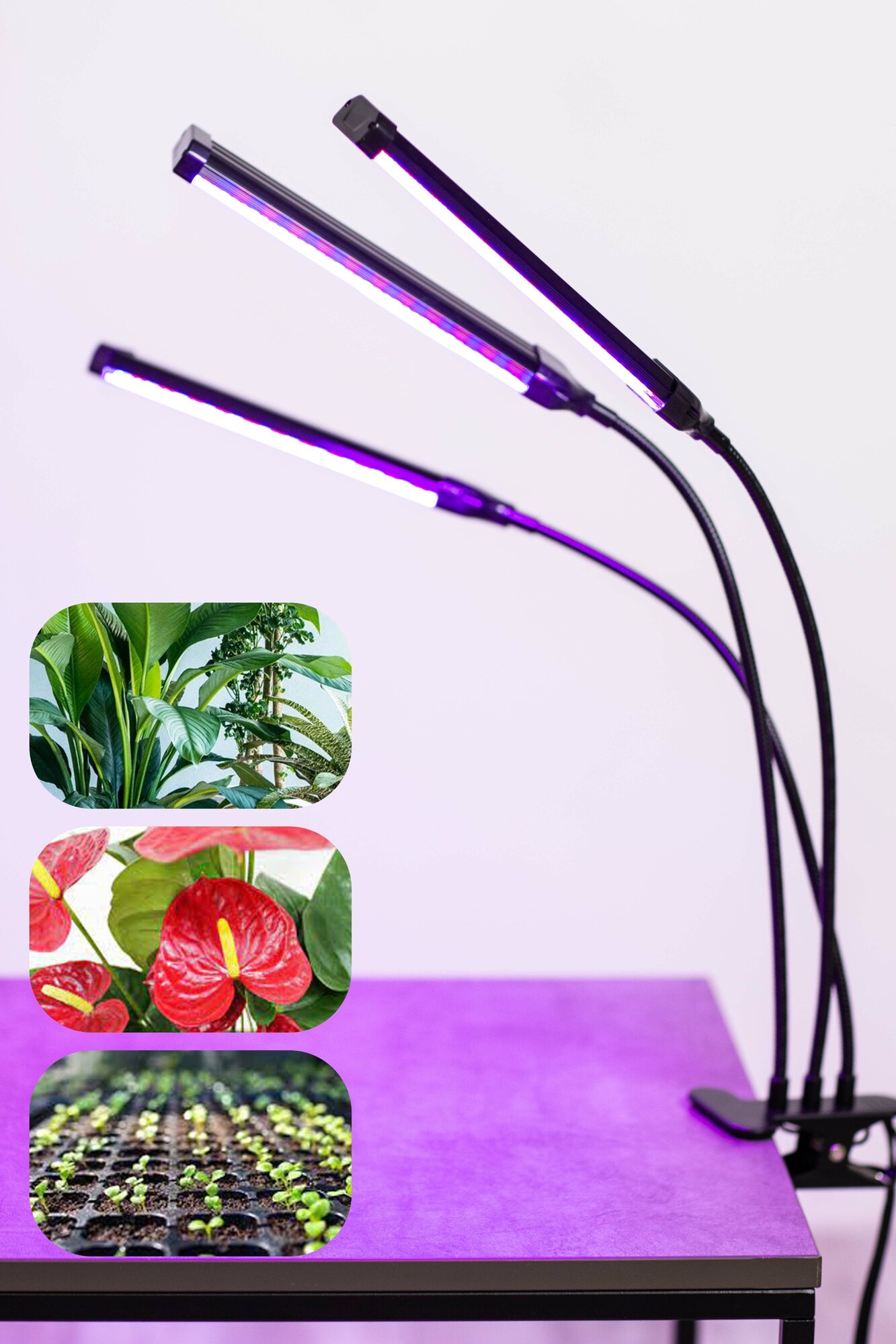 Фитолампа для растений полный спектр, 3 светильника / Лампа для растений / Лампа для цветов / Светильник для растений / Фито лампа / Фитосветильник - фотография № 1