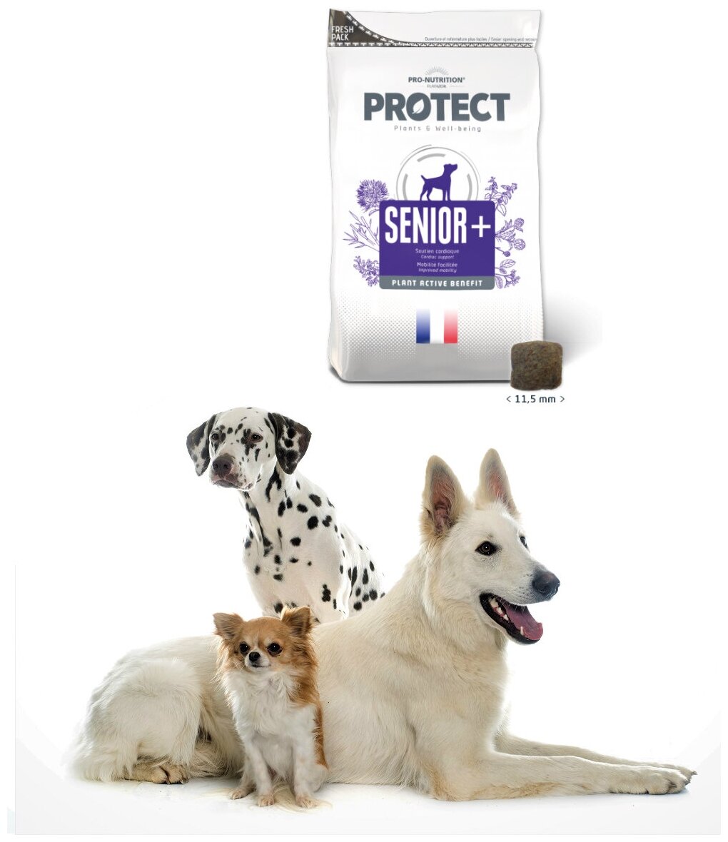 FLATAZOR PROTECT SENIOR + для пожилых собак всех пород (12 кг)