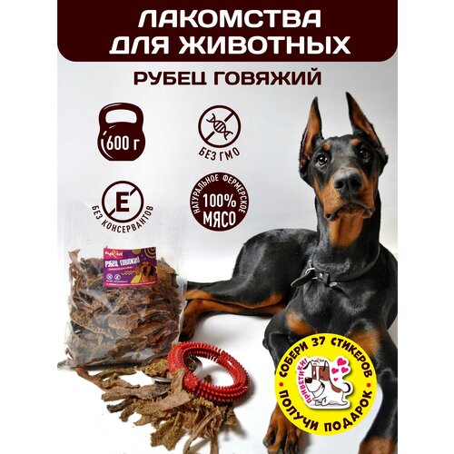 Корм, Лакомство для дрессировки собак Куська, Рубец говяжий 600гр 1 упаковка