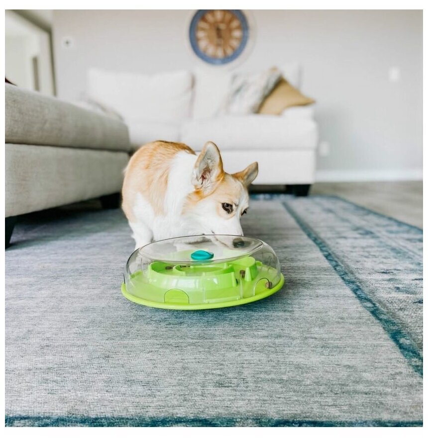 Игрушка для собак Petstages Миска-головоломка ОН Wobble Bowl раскачивающаяся для медленного поедания корма (0.5 кг) - фотография № 8