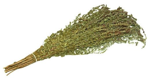 фото Веник травяной из шалфея