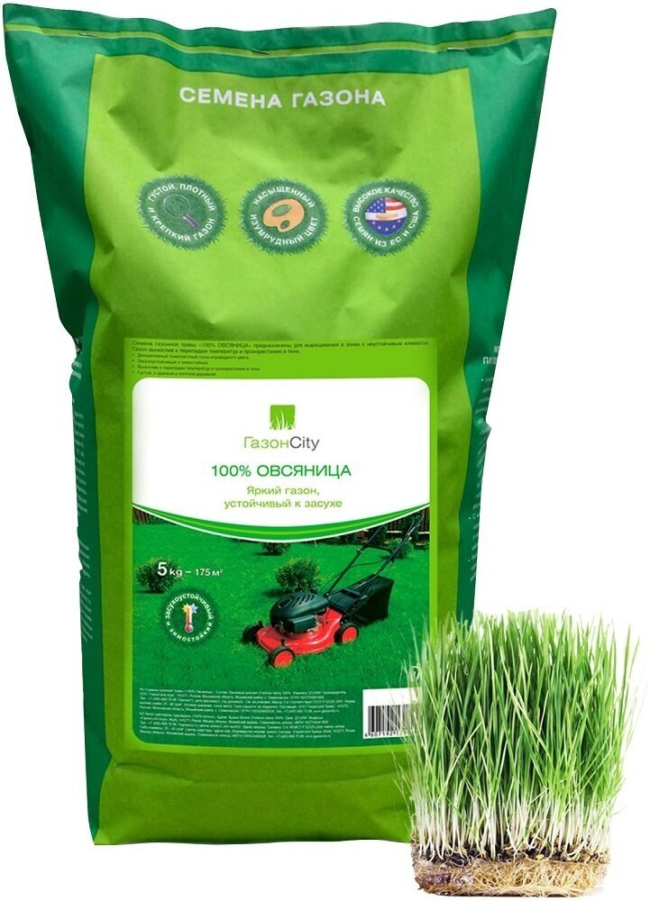 Семена газонной травы ГазонCity импорт Овсяница 5 кг