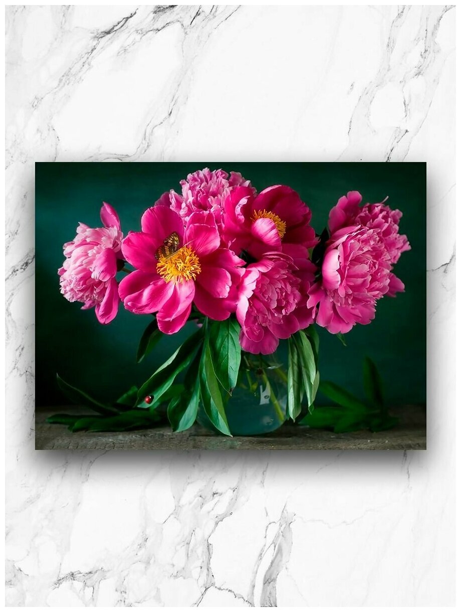 Картина для интерьера на холсте 30х40 см / Пионы розовые