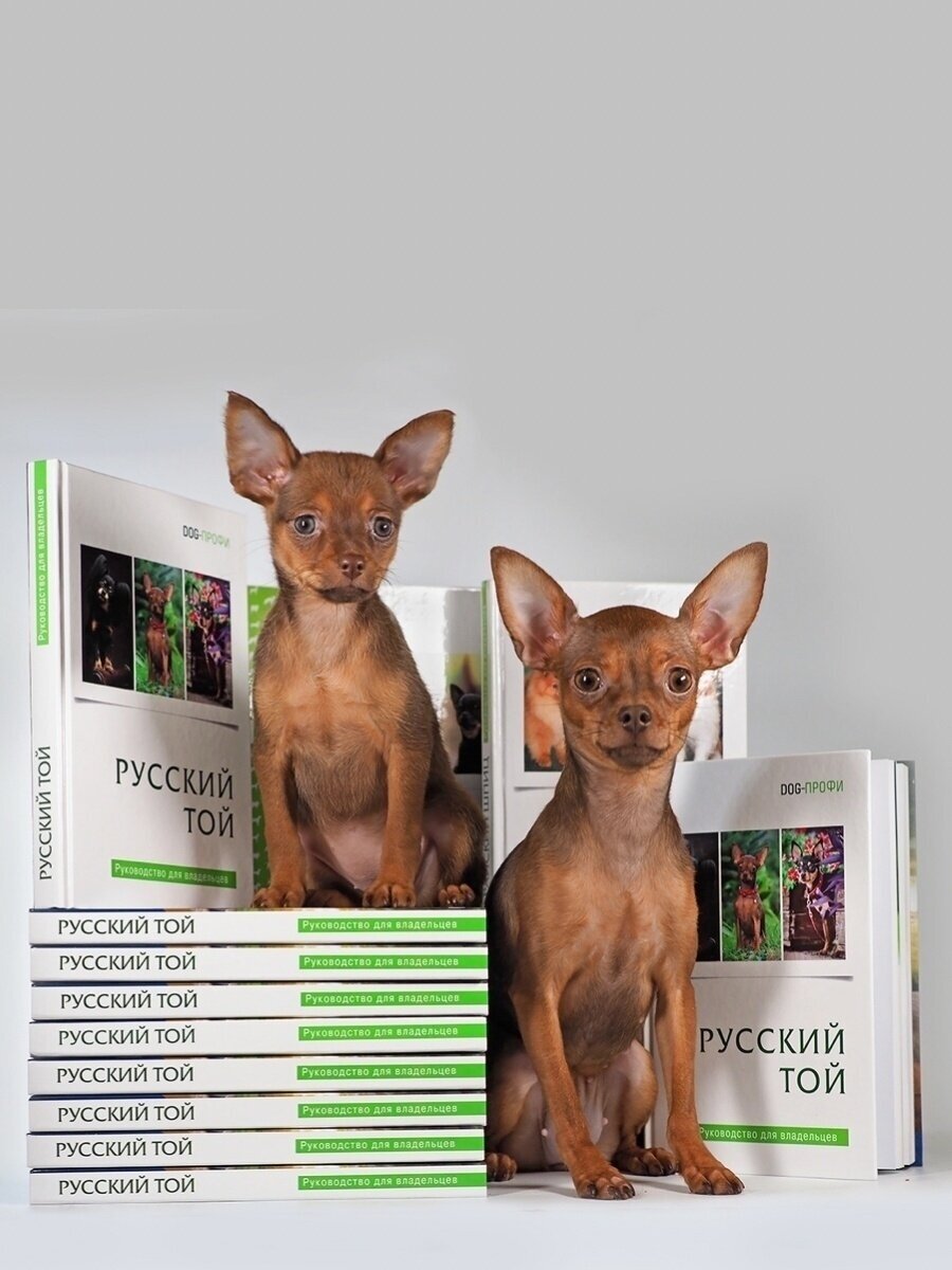 Книга Dog-Профи Русский той Ришина Н. - фото №6