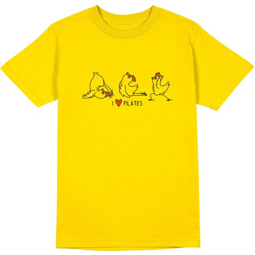 фото Мужская футболка «я люблю пилатес. три спортивные курицы» (2xl, белый) us basic