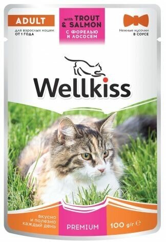 Wellkiss Adult влажный корм для взрослых кошек, с форелью и лососем в соусе, 100 г, 14 шт