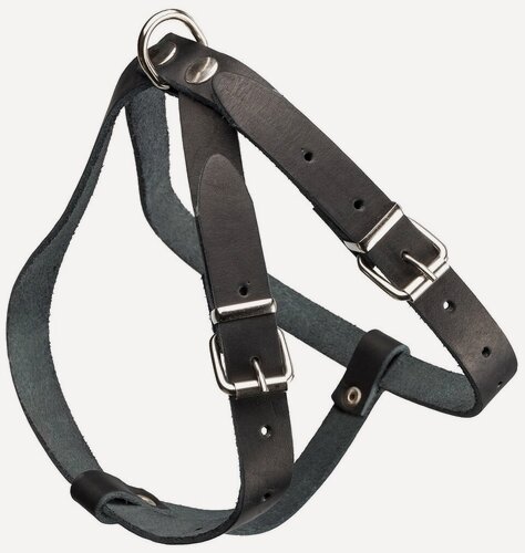 Изображение товара Шлейка для щенков крупных собак кожаная (грудь: 55-68 см; шея: 45-58 см)