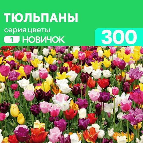 Деревянный пазл Тюльпаны 300 деталей Новичок