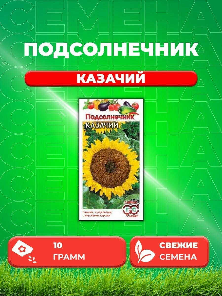 Подсолнечник Казачий 10 г