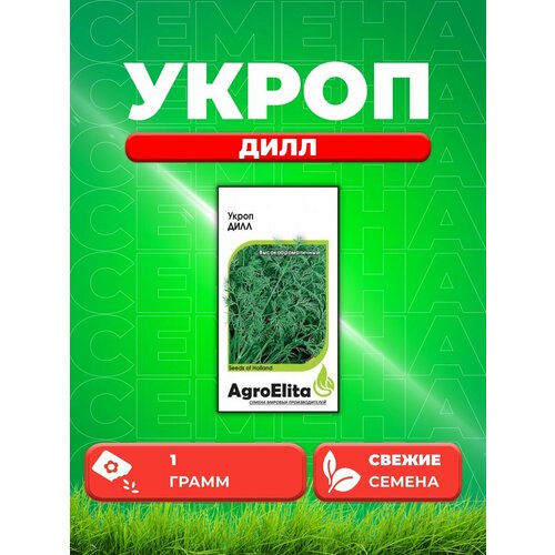 Укроп Дилл, 1,0г, AgroElita, Seminis