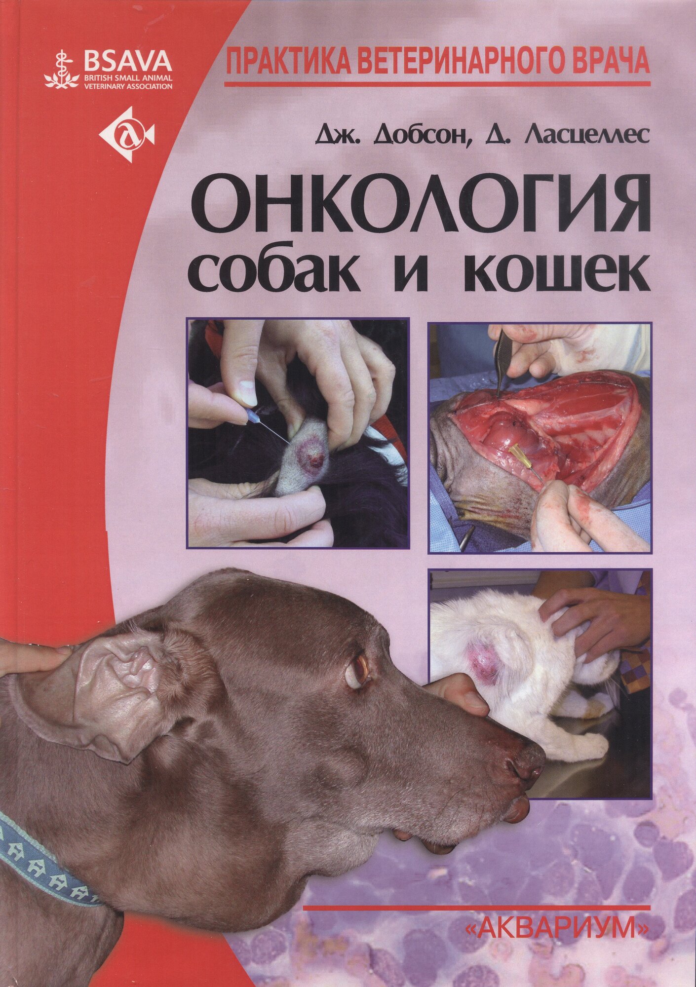 Онкология собак и кошек