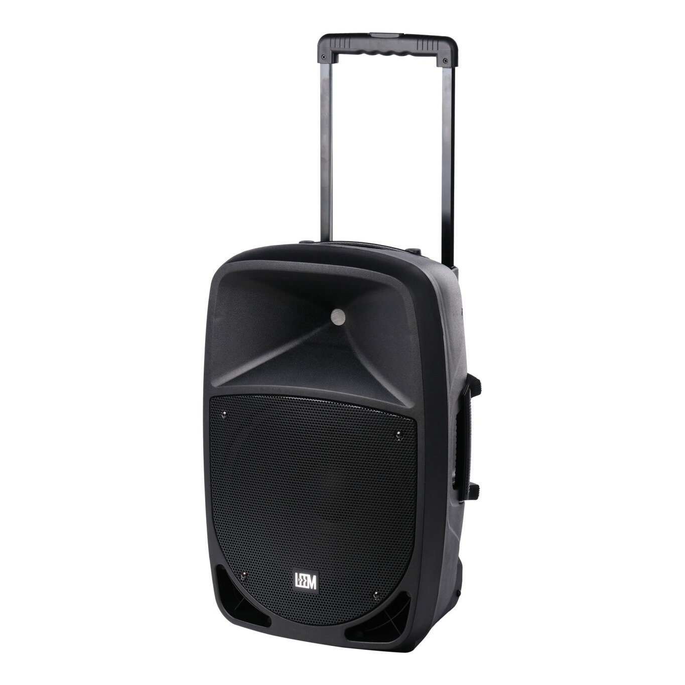 Портативная акустическая система Leem PR-12HR