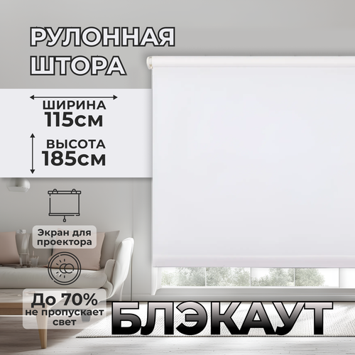 Рулонная штора блэкаут 185х115см 7335₽