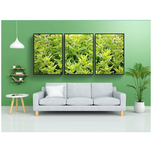 фото Набор модулных постеров для интерьера "мята, зеленая мята, завод" 60x90 см. в тубусе, без рамки lotsprints