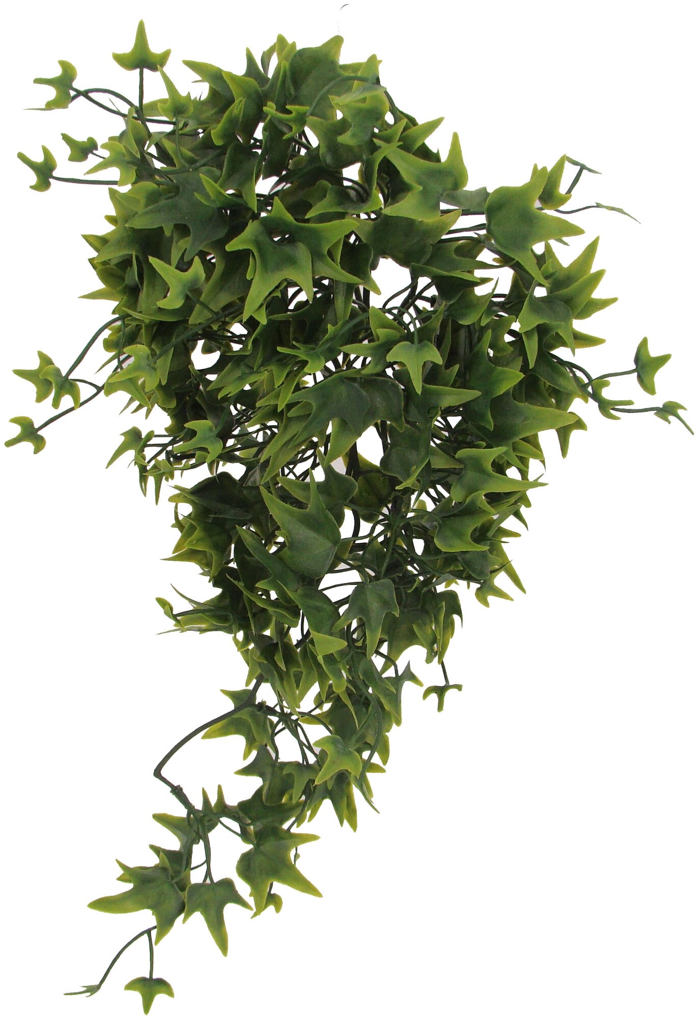 Растение для террариумов декоративное LUCKY REPTILE "Ivy", (Германия)