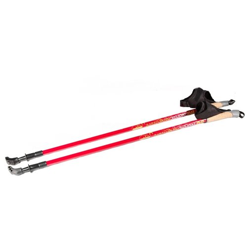 Палки для скандинавской ходьбы BG Nordic Adventure 82874-1, телескопические 80-140 см, цвет: темно-красный.
