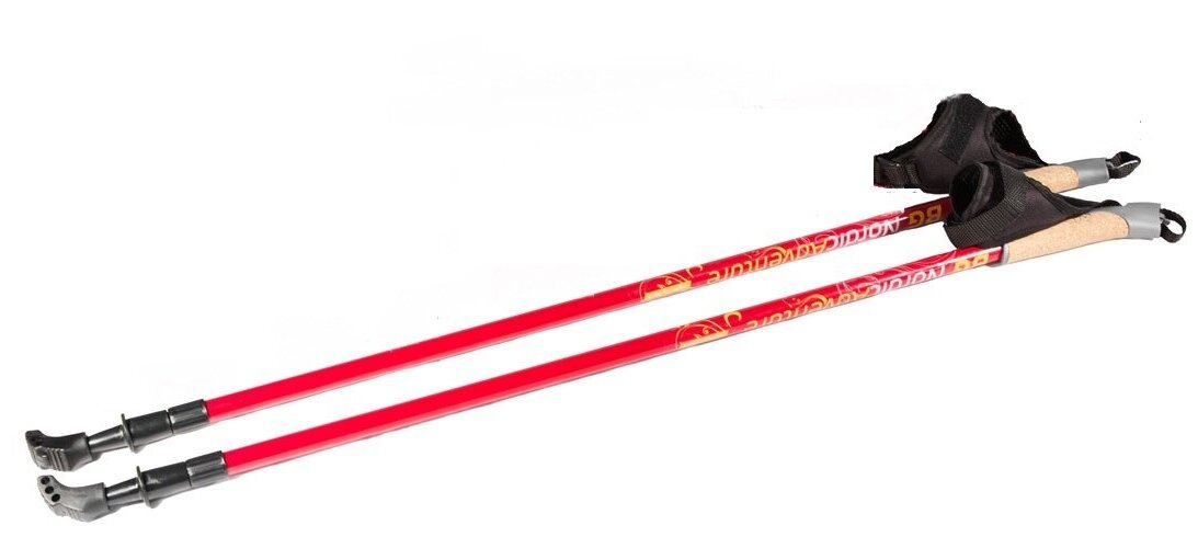 Палки для скандинавской ходьбы BG "Nordic Adventure" 82874-1, телескопические 80-140 см, цвет: темно-красный.