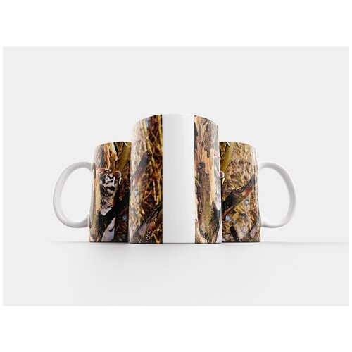 фото Кружка "тигр, хищник, шерсть" 320 мл lotsprints