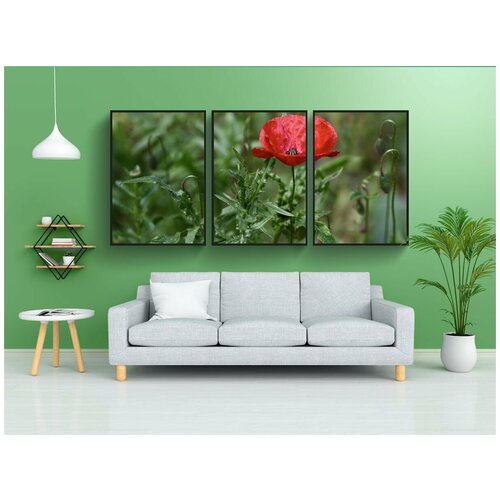 фото Набор модулных постеров для интерьера "мак, кукурузный мак, цвести" 60x90 см. в тубусе, без рамки lotsprints