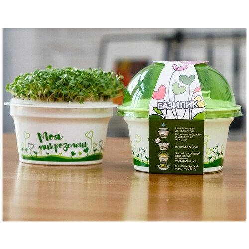 фото Набор для выращивания "моя микрозелень", базилик здоровья клад