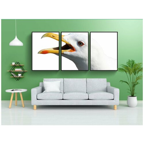 фото Набор модулных постеров для интерьера "чайка, водоплавающая птица, морская птица" 60x90 см. в тубусе, без рамки lotsprints