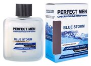 Парфюмерия XXI века Мужской Perfect Men Blue Storm Бальзам после бритья 100мл