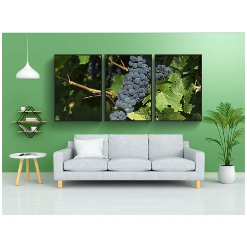 фото Набор модулных постеров для интерьера "виноград, виноградник, фрукты" 60x90 см. в тубусе, без рамки lotsprints