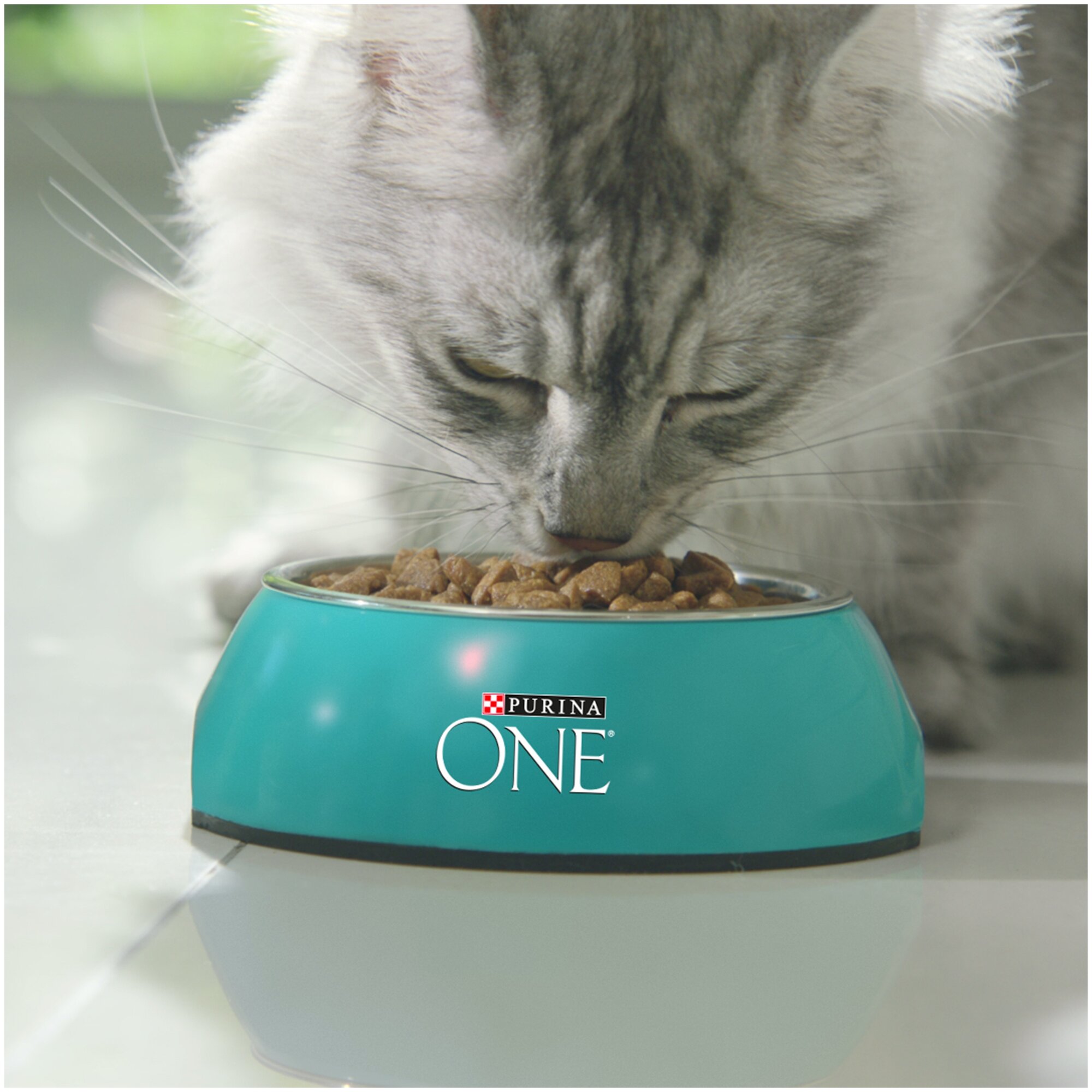 Сухой корм Purina ONE для домашних кошек с индейкой и цельными злаками, Пакет, 1,5 кг,Для взрослых кошек - фотография № 14