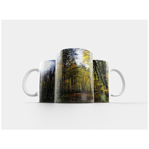 фото Кружка "осень, лес, природа" 320 мл lotsprints