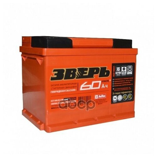 Автомобильный аккумулятор 60 Ач зверь п/п (620А д*ш*в 24,2*17,5*19 см)