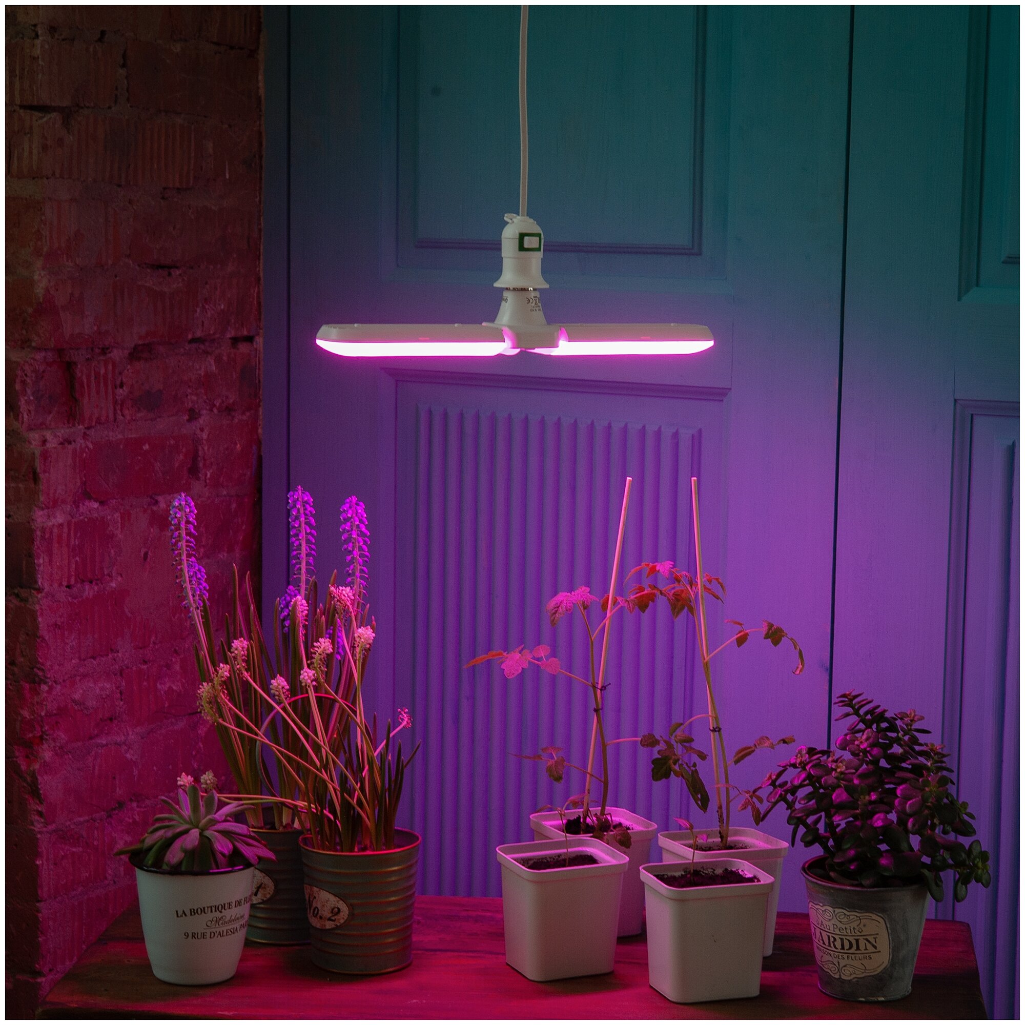 Лампа светодиодная для растений Uniel UL-00007407, E27, 24 Вт - фотография № 8