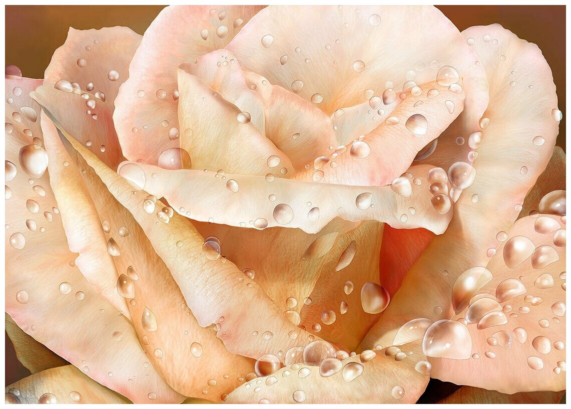 Бутон розовой розы в росе - Виниловые фотообои, (211х150 см)