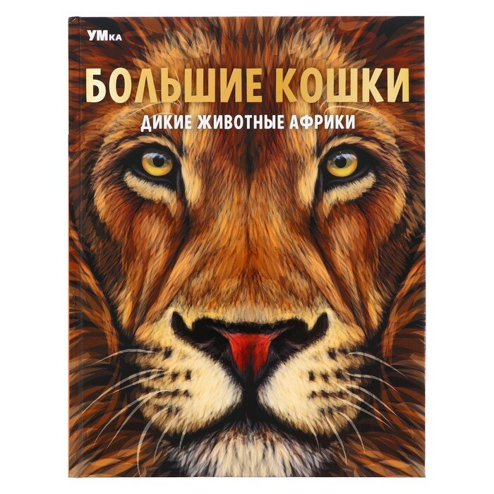 Умка Энциклопедия «Большие кошки. Дикие животные Африки», 48 страниц