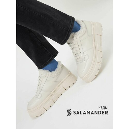SALAMANDER 233-1664B-4101