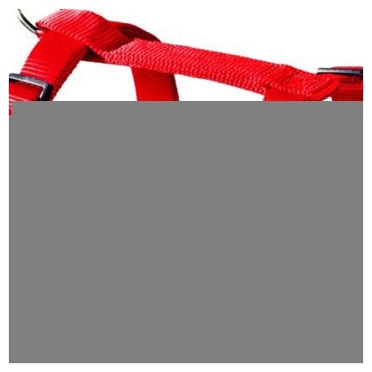 Hunter Smart шлейка для собак Ecco Sport S (30-45/33-54 см) нейлон бирюзовый - фото №2