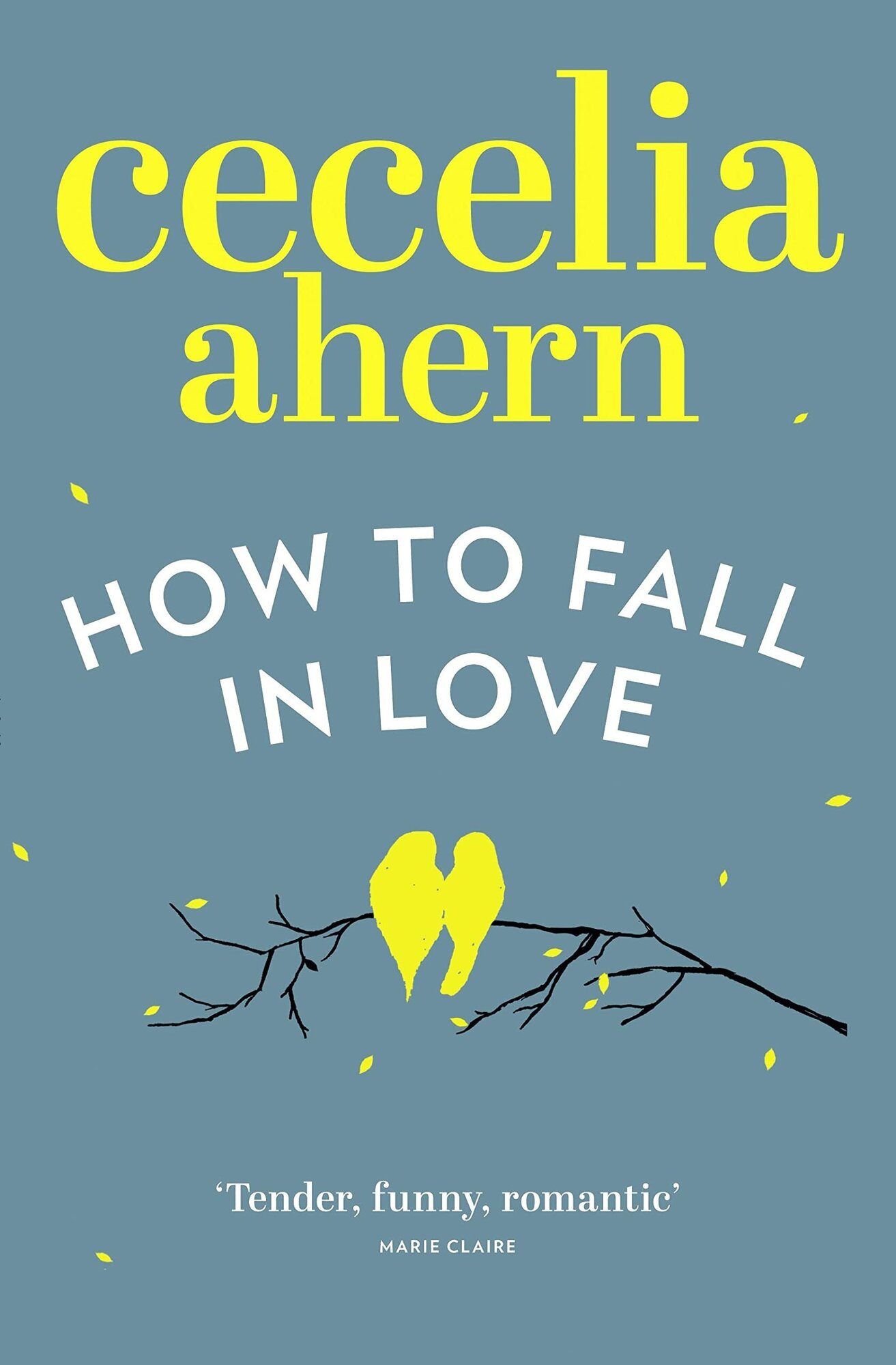 How to Fall in Love (Ахерн Сесилия) - фото №1