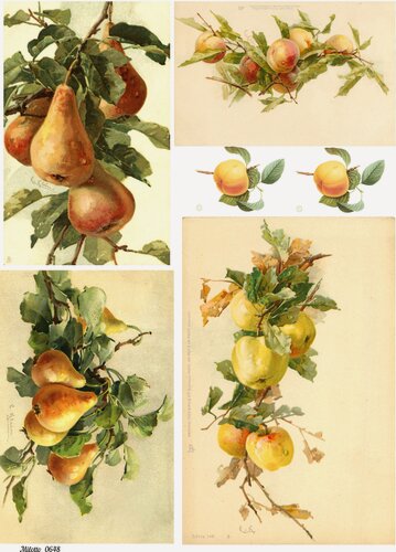 Изображение товара Декупажная рисовая карта А4 салфетка 0648 фрукты персики яблоки груши винтаж крафт DIY Milotto