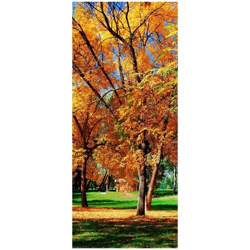 Самоклеящиеся фотообои Осень размер 90x210 см эффект черно-белый 1928₽