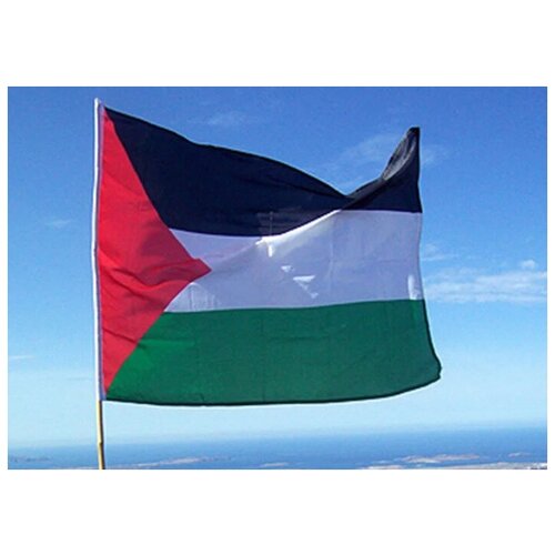 Флаг Палестины 70х105 см