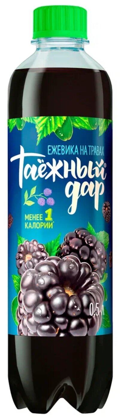 Напиток безалкогольный сильногазированный на основе таежных трав Таежный Дар 0,5 Ежевика new - фотография № 2