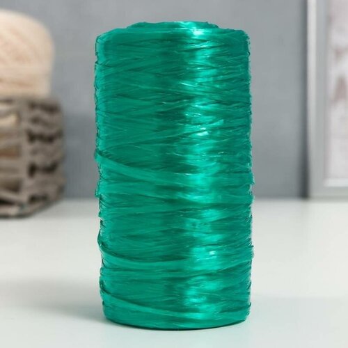 Пряжа - Для вязания мочалок, 100% полипропилен, 300м/75гр, №2-3, цвет изумрудный, 5 шт.