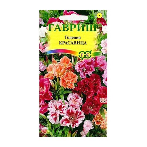 Семена Годеция махровая Красавица смесь 0,1г для дачи, сада, огорода, теплицы / рассады в домашних условиях семена петуния бонанза махровая смесь 10шт для дачи сада огорода теплицы рассады в домашних условиях