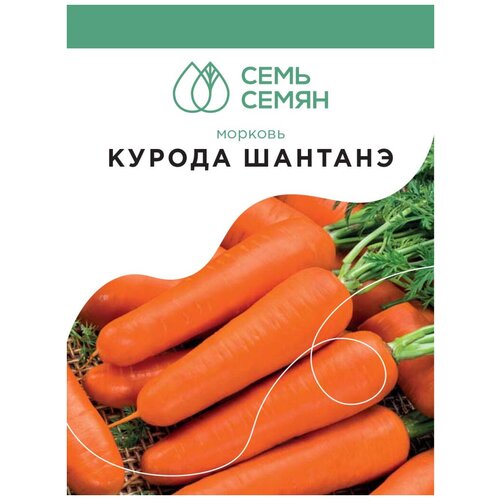 Семена Морковь 